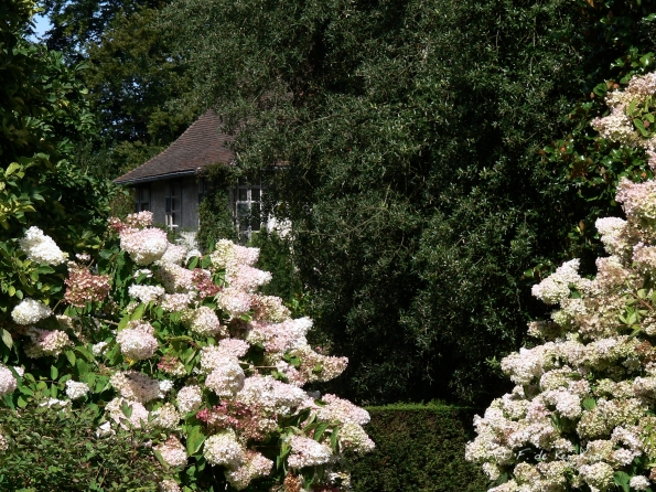 Bois des Moutiers  (33) Summer 2012